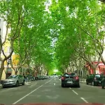 Centre Ville, Confort De 2 A 7 Pers. * Bastia (Corsica)