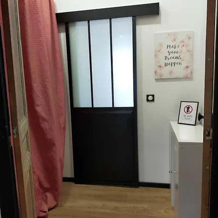 דירה Centre Ville, Confort De 2 A 7 Pers. בסטיה